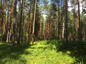 Ferienwohnung am Haff, Grambin